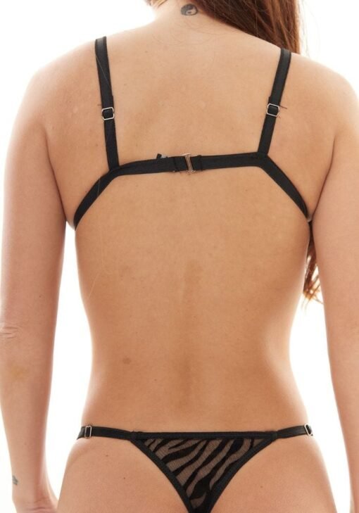 Conjunto Cebra - Imagen 5