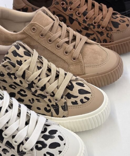 Champion Animal Street